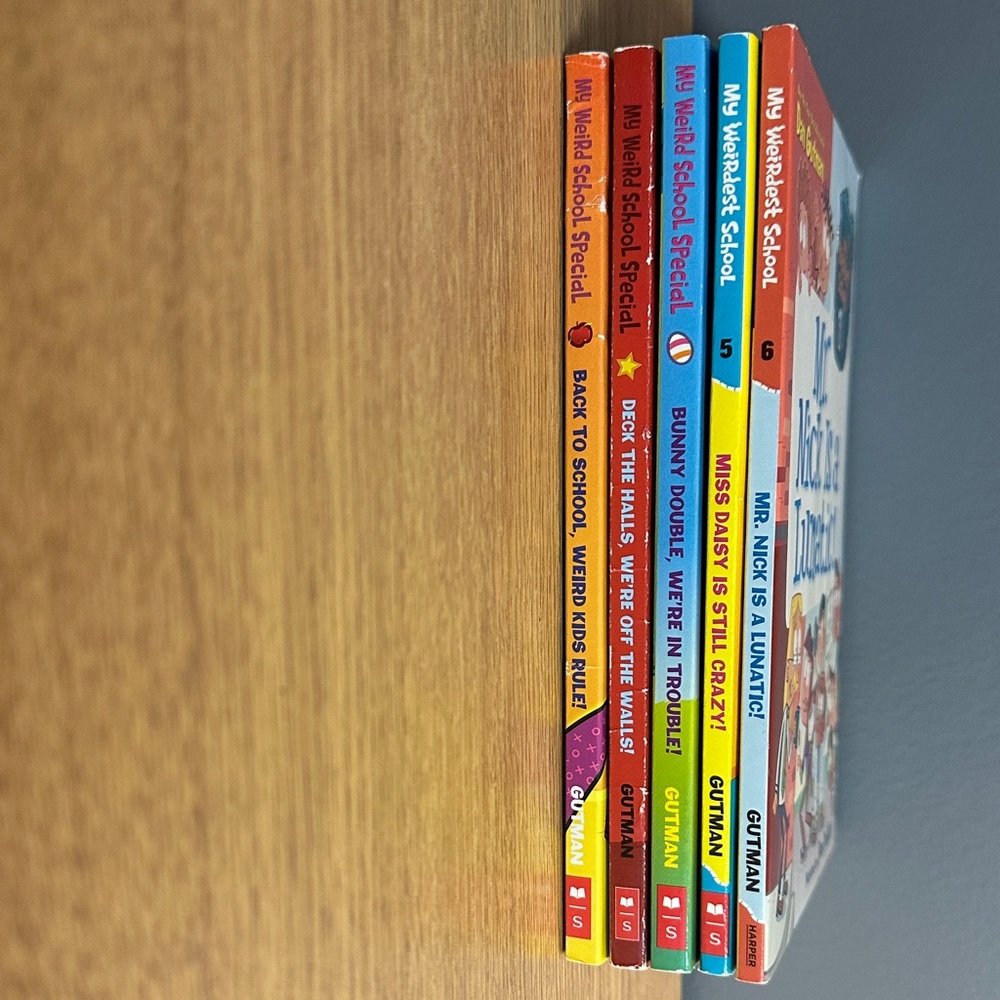 Dan Gutman My Weird School bundle